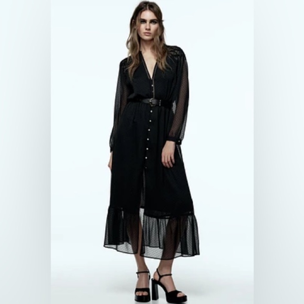 Zara Dotted Mesh Belted Midi Dress